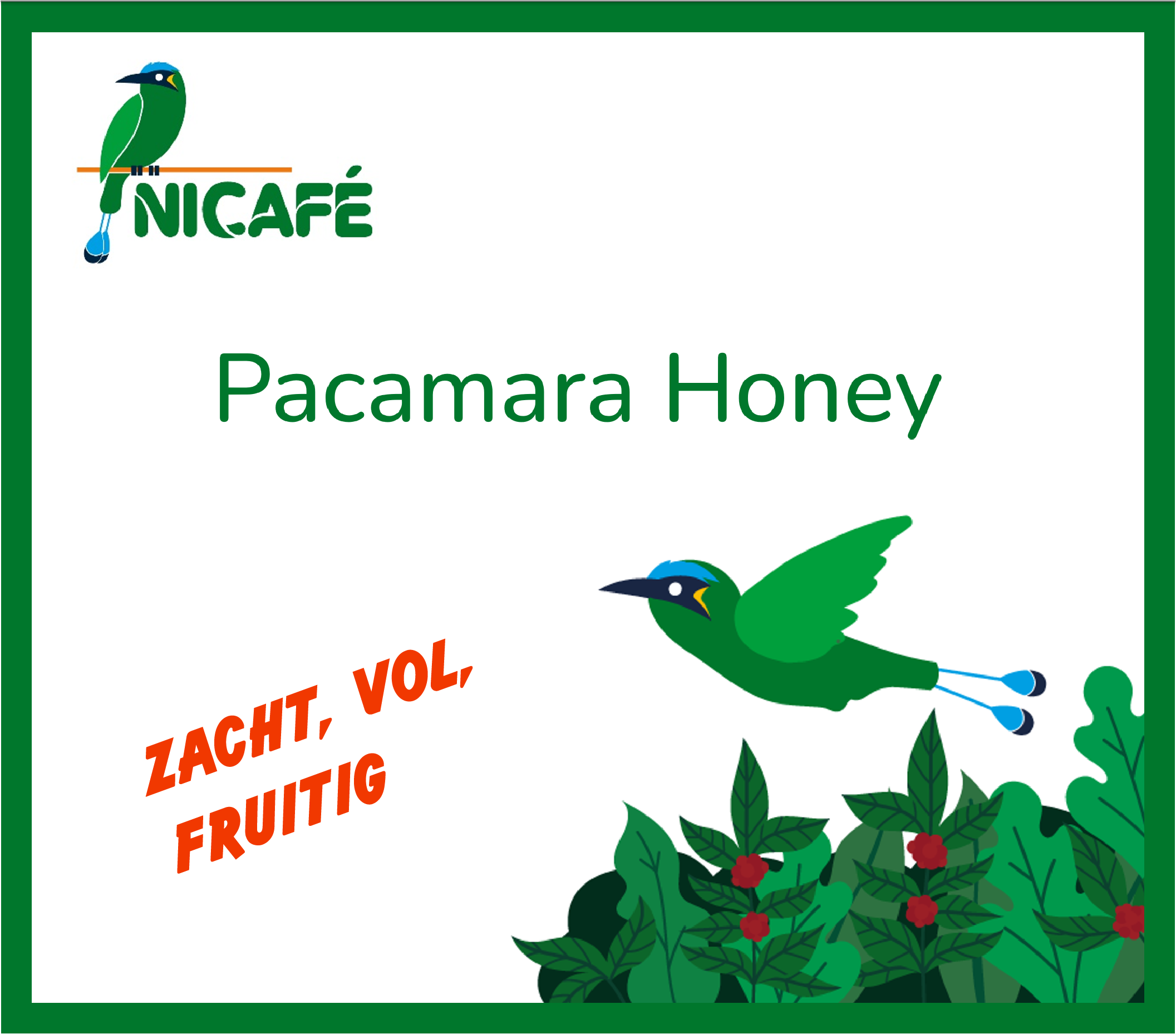 Pacamara Honey