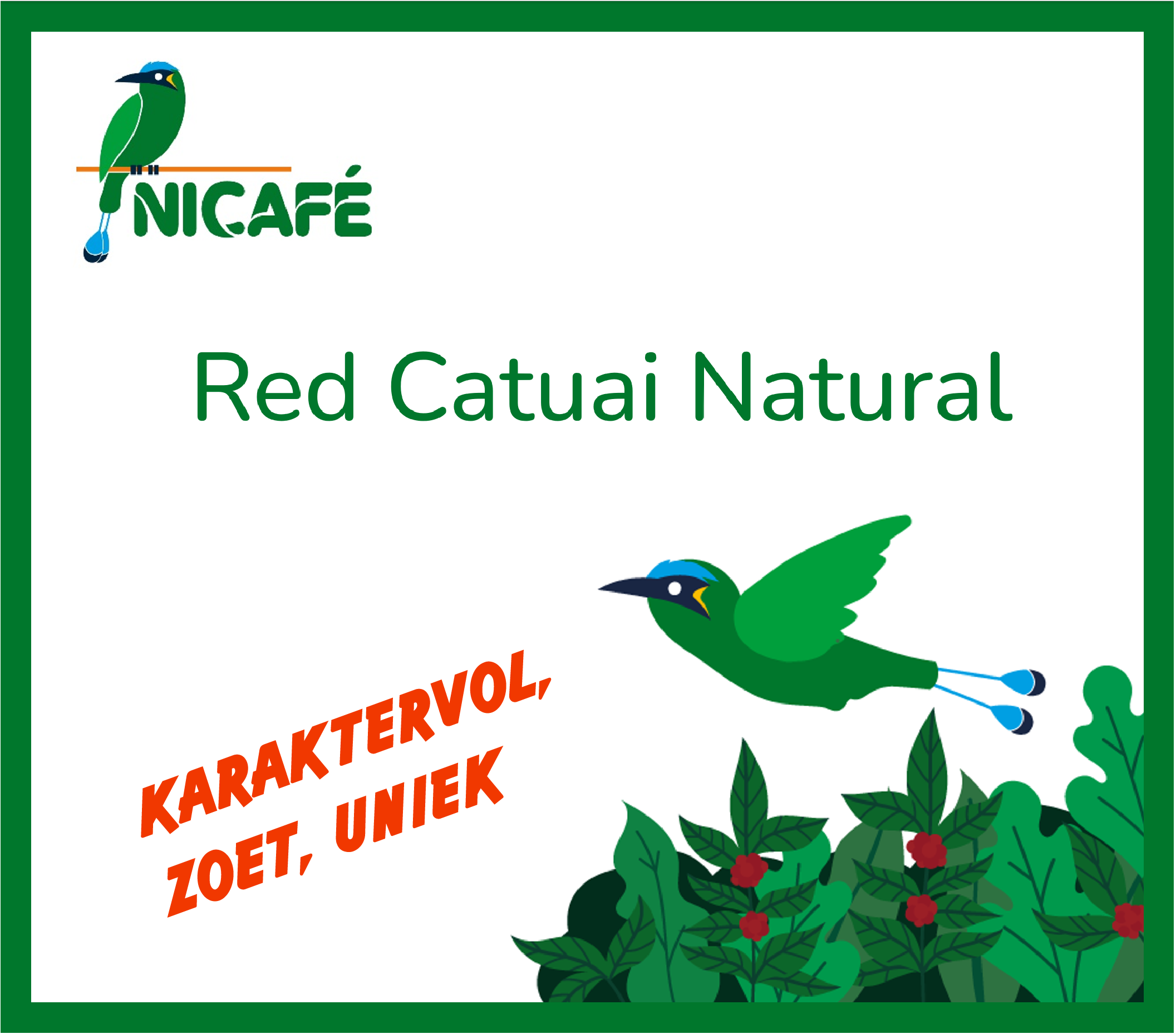 Red Catuai Natural